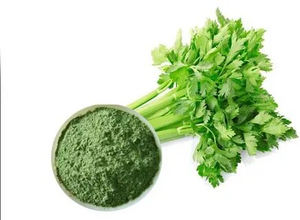 تصویر 2 از خرید و فروش عمده و صادراتی کرفس خشک جعبه‌ای بالسی